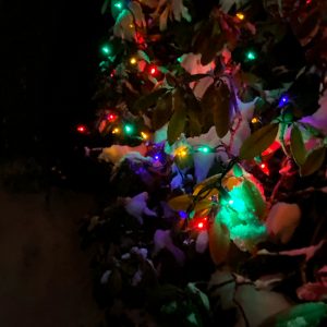 The Reason for the Season:  The Psychology of Traditions
